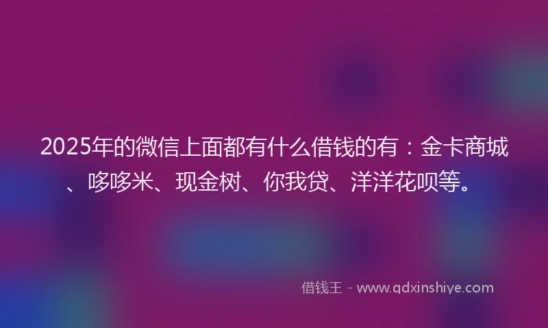 2025年的微信上面都有什么借钱的有：金卡商城、哆哆米、现金树、你我贷、洋洋花呗等。
