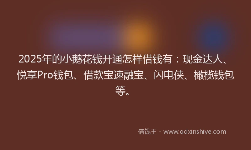 2025年的小鹅花钱开通怎样借钱有：现金达人、悦享Pro钱包、借款宝速融宝、闪电侠、橄榄钱包等。