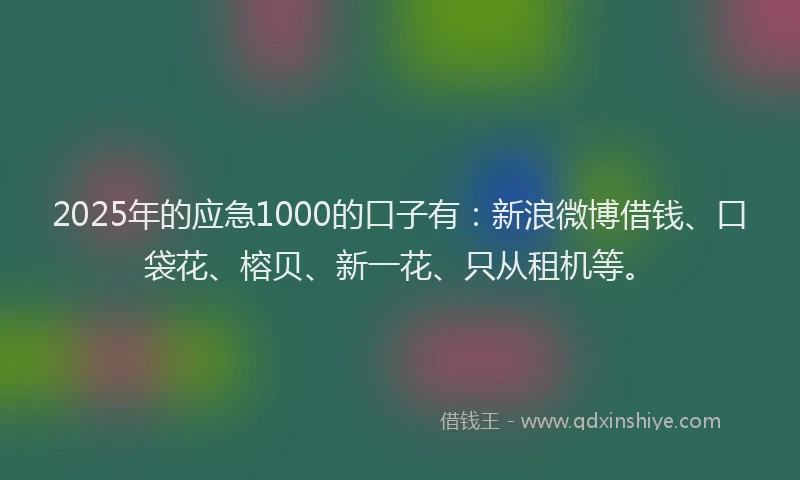 2025年的应急1000的口子有：新浪微博借钱、口袋花、榕贝、新一花、只从租机等。