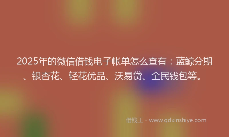 2025年的微信借钱电子帐单怎么查有：蓝鲸分期、银杏花、轻花优品、沃易贷、全民钱包等。