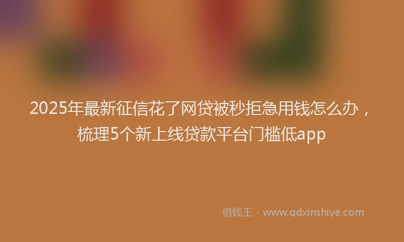 2025年最新征信花了网贷被秒拒急用钱怎么办，梳理5个新上线贷款平台门槛低app