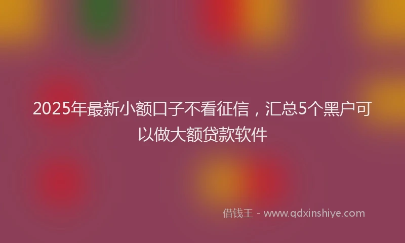 2025年最新小额口子不看征信，汇总5个黑户可以做大额贷款软件