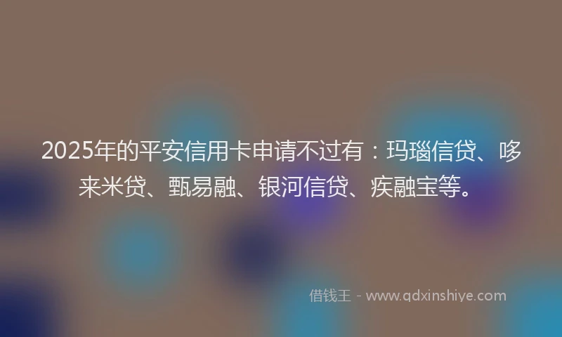 2025年的平安信用卡申请不过有：玛瑙信贷、哆来米贷、甄易融、银河信贷、疾融宝等。