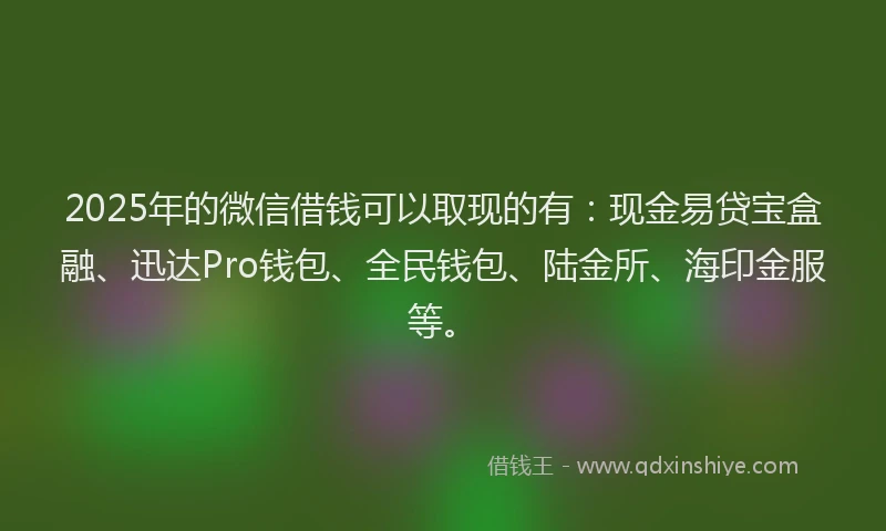 2025年的微信借钱可以取现的有：现金易贷宝盒融、迅达Pro钱包、全民钱包、陆金所、海印金服等。