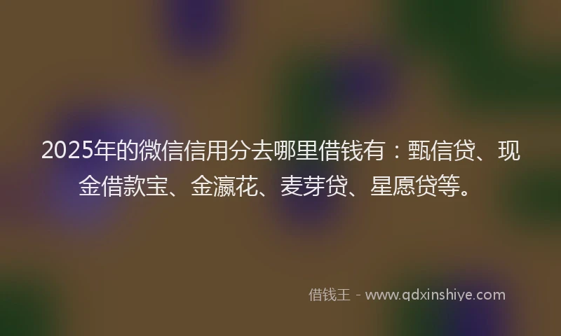 2025年的微信信用分去哪里借钱有：甄信贷、现金借款宝、金瀛花、麦芽贷、星愿贷等。