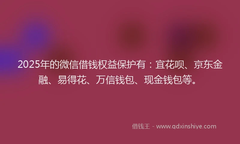 2025年的微信借钱权益保护有：宜花呗、京东金融、易得花、万信钱包、现金钱包等。