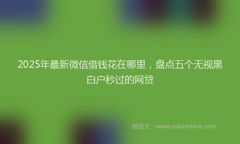 2025年最新微信借钱花在哪里，盘点五个无视黑白户秒过的网贷