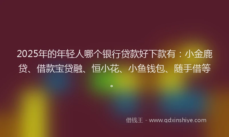 2025年的年轻人哪个银行贷款好下款有：小金鹿贷、借款宝贷融、恒小花、小鱼钱包、随手借等。