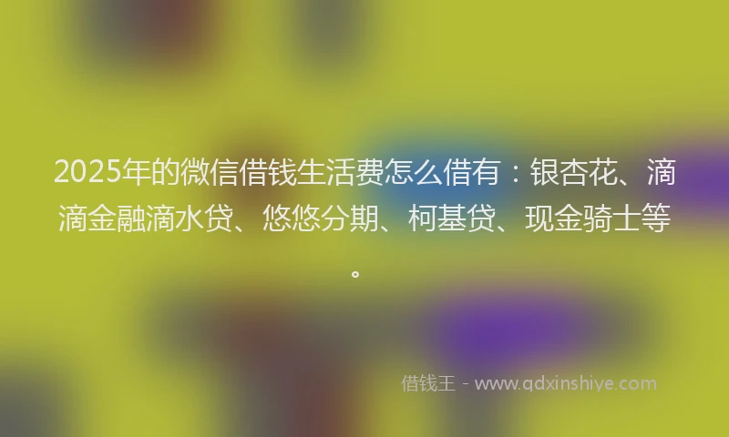 2025年的微信借钱生活费怎么借有：银杏花、滴滴金融滴水贷、悠悠分期、柯基贷、现金骑士等。