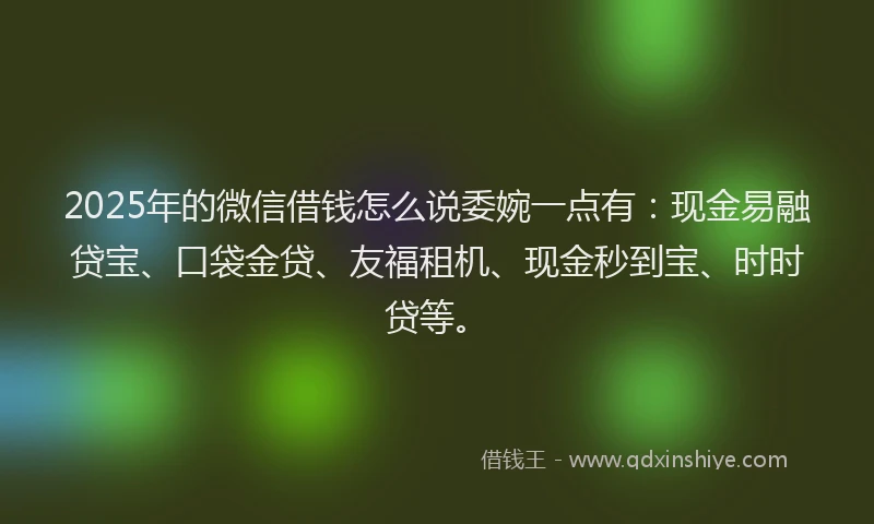 2025年的微信借钱怎么说委婉一点有：现金易融贷宝、口袋金贷、友福租机、现金秒到宝、时时贷等。