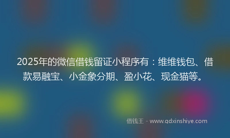 2025年的微信借钱留证小程序有：维维钱包、借款易融宝、小金象分期、盈小花、现金猫等。