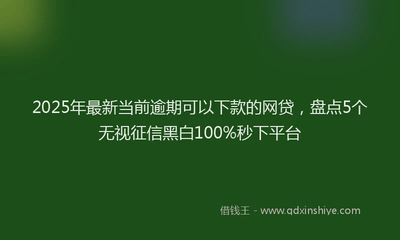 2025年最新当前逾期可以下款的网贷，盘点5个无视征信黑白100%秒下平台