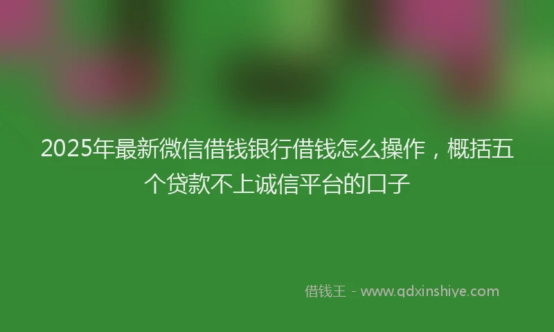 2025年最新微信借钱银行借钱怎么操作，概括五个贷款不上诚信平台的口子