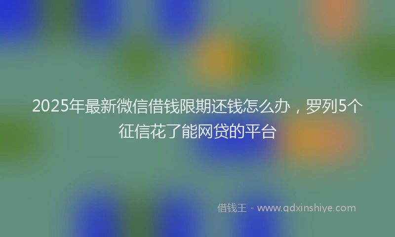 2025年最新微信借钱限期还钱怎么办，罗列5个征信花了能网贷的平台