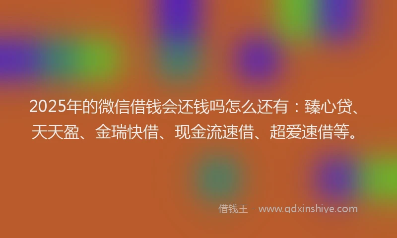 2025年的微信借钱会还钱吗怎么还有：臻心贷、天天盈、金瑞快借、现金流速借、超爱速借等。