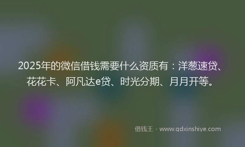 2025年的微信借钱需要什么资质有：洋葱速贷、花花卡、阿凡达e贷、时光分期、月月开等。