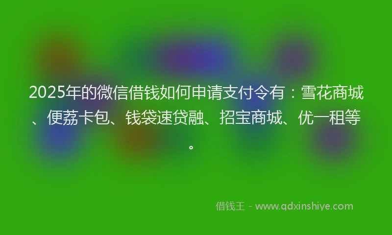 2025年的微信借钱如何申请支付令有：雪花商城、便荔卡包、钱袋速贷融、招宝商城、优一租等。
