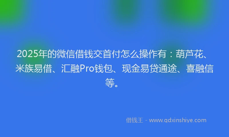 2025年的微信借钱交首付怎么操作有：葫芦花、米族易借、汇融Pro钱包、现金易贷通途、喜融信等。