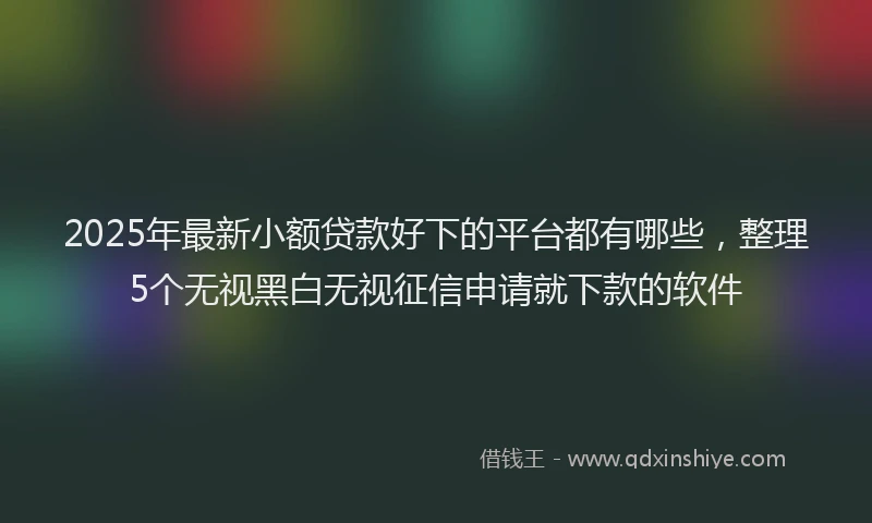 2025年最新小额贷款好下的平台都有哪些，整理5个无视黑白无视征信申请就下款的软件