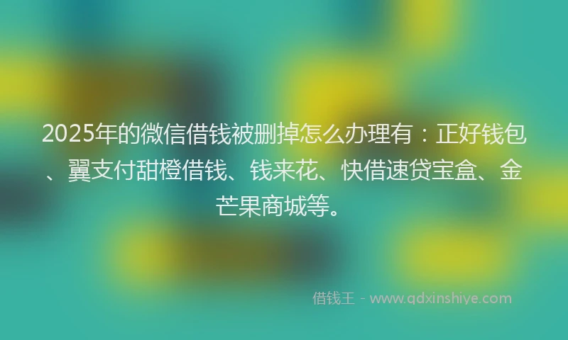2025年的微信借钱被删掉怎么办理有：正好钱包、翼支付甜橙借钱、钱来花、快借速贷宝盒、金芒果商城等。