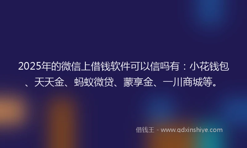2025年的微信上借钱软件可以信吗有：小花钱包、天天金、蚂蚁微贷、蒙享金、一川商城等。