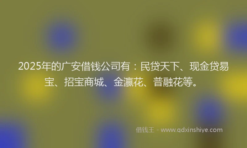 2025年的广安借钱公司有：民贷天下、现金贷易宝、招宝商城、金瀛花、普融花等。