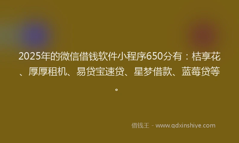2025年的微信借钱软件小程序650分有：桔享花、厚厚租机、易贷宝速贷、星梦借款、蓝莓贷等。