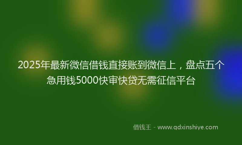 2025年最新微信借钱直接账到微信上，盘点五个急用钱5000快审快贷无需征信平台