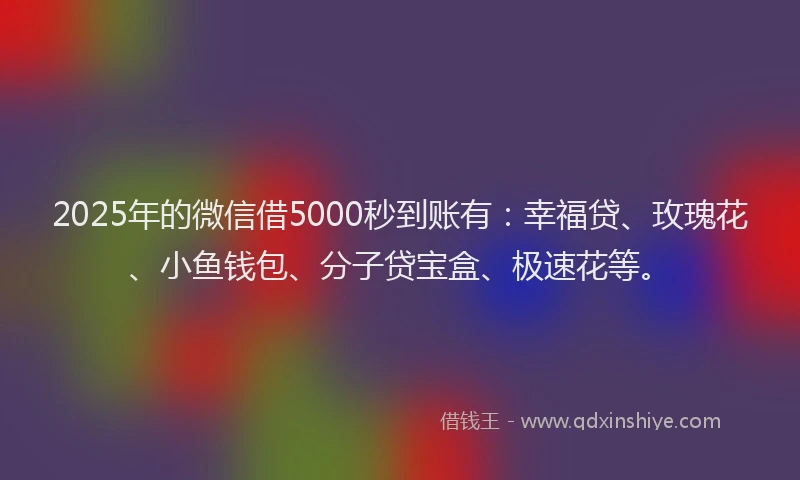 2025年的微信借5000秒到账有：幸福贷、玫瑰花、小鱼钱包、分子贷宝盒、极速花等。