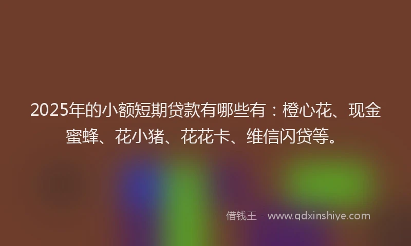 2025年的小额短期贷款有哪些有：橙心花、现金蜜蜂、花小猪、花花卡、维信闪贷等。