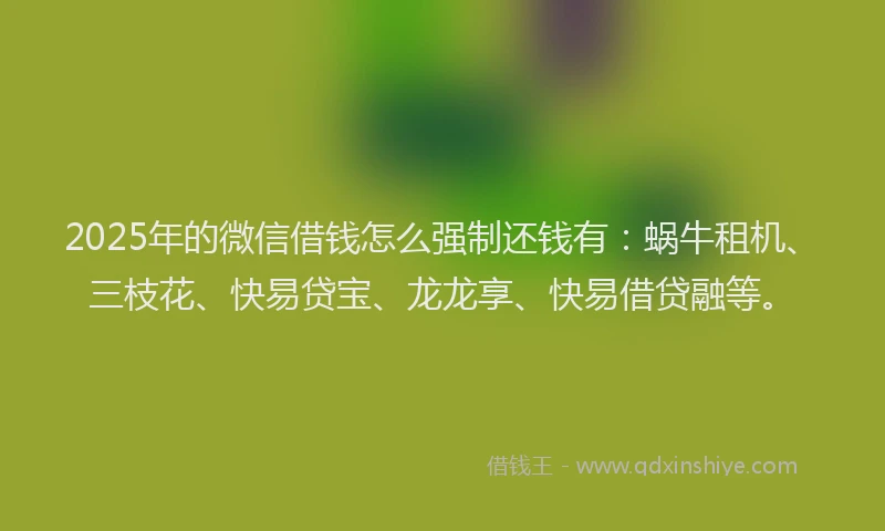 2025年的微信借钱怎么强制还钱有：蜗牛租机、三枝花、快易贷宝、龙龙享、快易借贷融等。
