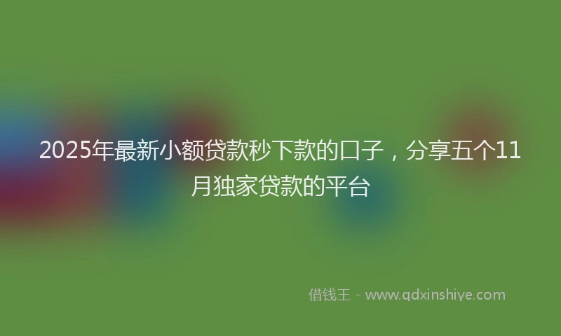 2025年最新小额贷款秒下款的口子，分享五个11月独家贷款的平台