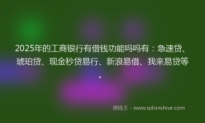 2025年的工商银行有借钱功能吗吗有：急速贷、琥珀贷、现金秒贷易行、新浪易借、我来易贷等。