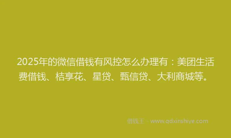 2025年的微信借钱有风控怎么办理有：美团生活费借钱、桔享花、星贷、甄信贷、大利商城等。