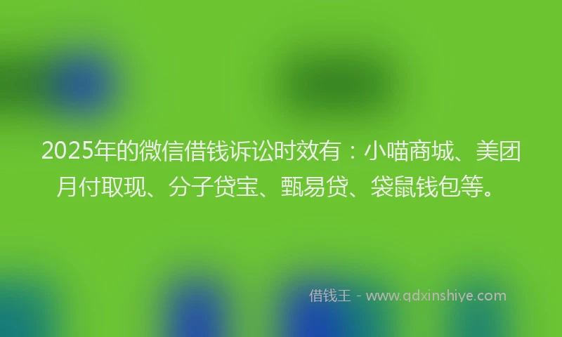 2025年的微信借钱诉讼时效有：小喵商城、美团月付取现、分子贷宝、甄易贷、袋鼠钱包等。