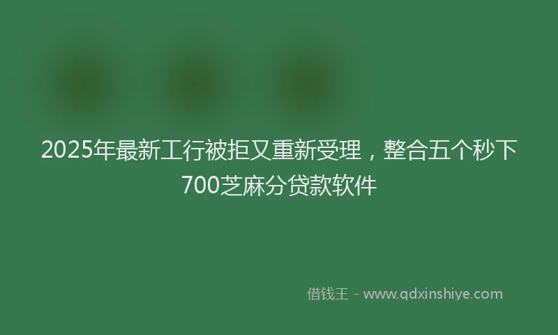 2025年最新工行被拒又重新受理，整合五个秒下700芝麻分贷款软件