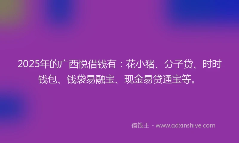 2025年的广西悦借钱有：花小猪、分子贷、时时钱包、钱袋易融宝、现金易贷通宝等。