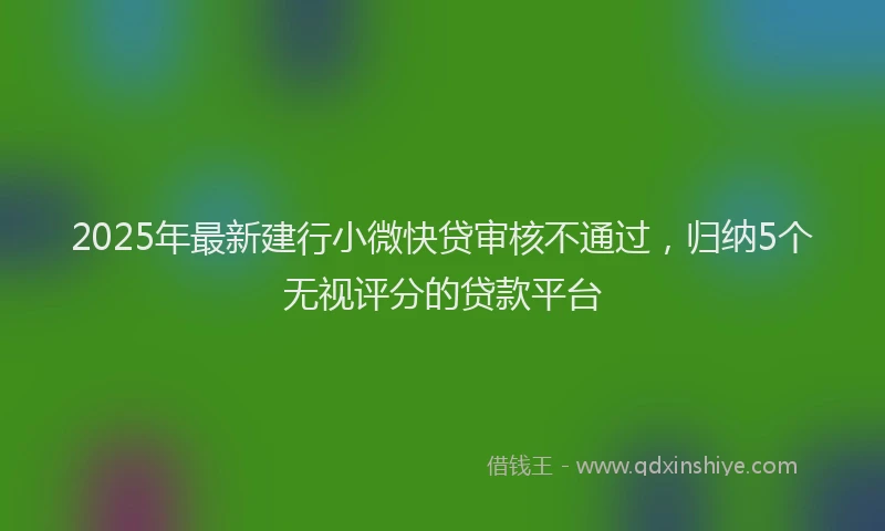 2025年最新建行小微快贷审核不通过，归纳5个无视评分的贷款平台