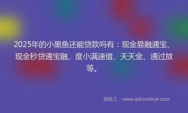 2025年的小黑鱼还能贷款吗有：现金易融通宝、现金秒贷通宝融、度小满速借、天天金、通过放等。