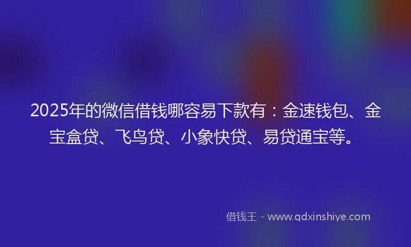 2025年的微信借钱哪容易下款有：金速钱包、金宝盒贷、飞鸟贷、小象快贷、易贷通宝等。