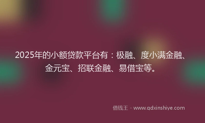2025年的小额贷款平台有：极融、度小满金融、金元宝、招联金融、易借宝等。