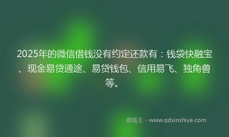 2025年的微信借钱没有约定还款有：钱袋快融宝、现金易贷通途、易贷钱包、信用易飞、独角兽等。