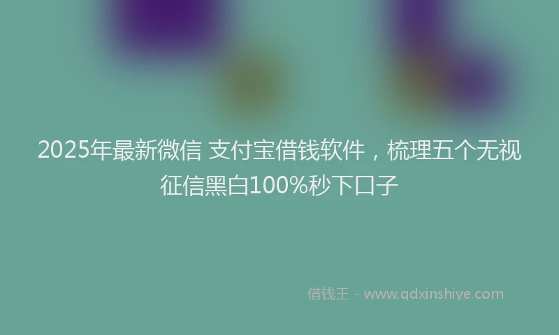 2025年最新微信 支付宝借钱软件，梳理五个无视征信黑白100%秒下口子