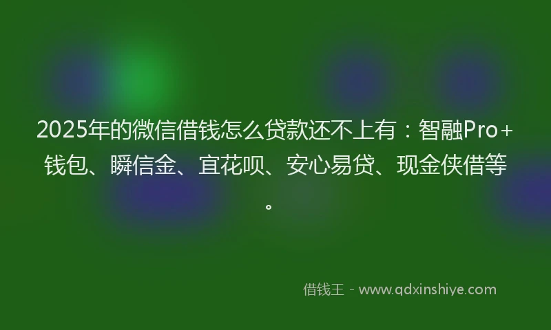 2025年的微信借钱怎么贷款还不上有：智融Pro+钱包、瞬信金、宜花呗、安心易贷、现金侠借等。