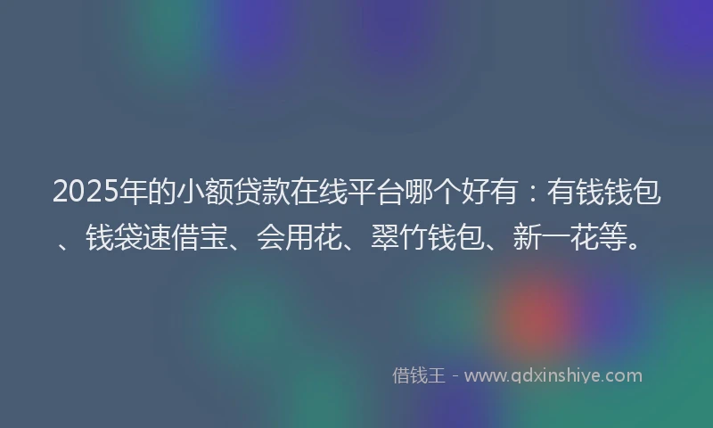 2025年的小额贷款在线平台哪个好有:有钱钱包、钱袋速借宝、会用花、翠竹钱包、新一花等。