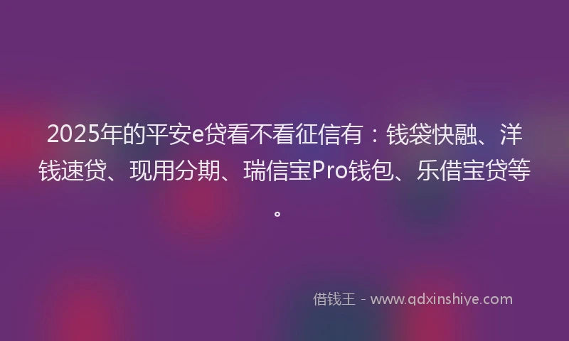 2025年的平安e贷看不看征信有：钱袋快融、洋钱速贷、现用分期、瑞信宝Pro钱包、乐借宝贷等。