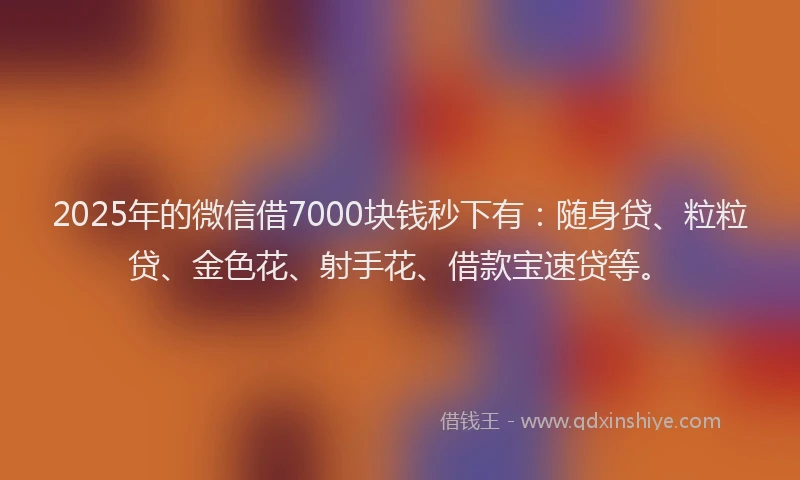 2025年的微信借7000块钱秒下有：随身贷、粒粒贷、金色花、射手花、借款宝速贷等。