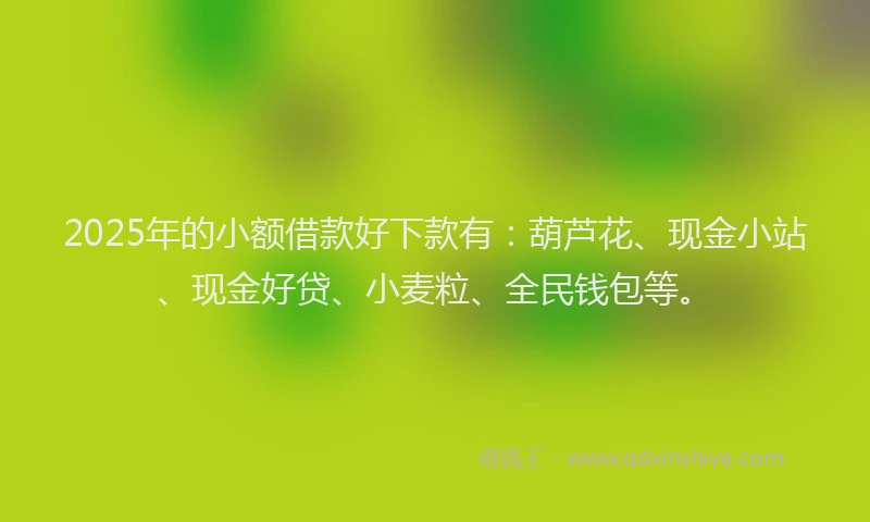 2025年的小额借款好下款有：葫芦花、现金小站、现金好贷、小麦粒、全民钱包等。