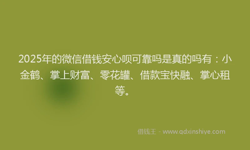 2025年的微信借钱安心呗可靠吗是真的吗有：小金鹤、掌上财富、零花罐、借款宝快融、掌心租等。