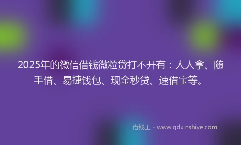 2025年的微信借钱微粒贷打不开有：人人拿、随手借、易捷钱包、现金秒贷、速借宝等。